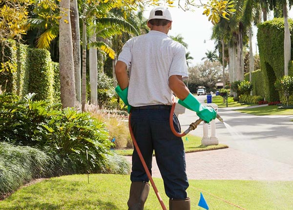 About Jenkintown PA Pest Control Pros